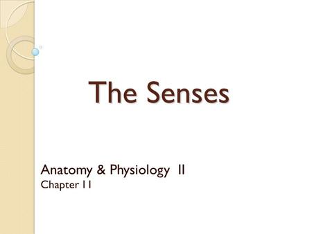 Anatomy & Physiology II Chapter 11