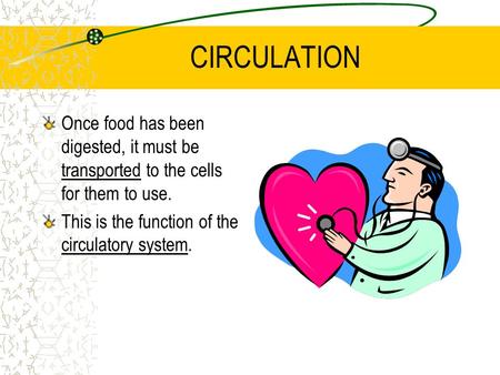 CIRCULATION Once food has been digested, it must be transported to the cells for them to use. This is the function of the circulatory system.