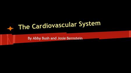 The Cardiovascular System By Abby Bush and Josie Bernstein.
