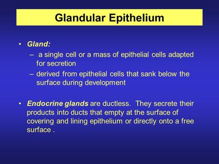 Glandular Epithelium Gland: