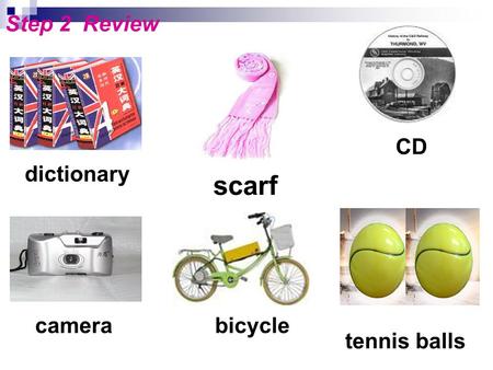 Step 2 Review dictionary camera CD bicycle scarf tennis balls.