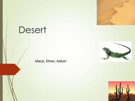 Desert Macie, Ethan, Allison. Where is ecosystem located?  There are several deserts found in America.  The Great Basin desert covers Nevada and parts.