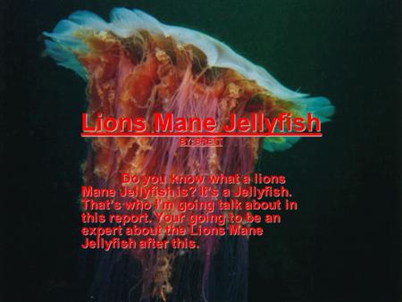 Lions Mane Jellyfish BY: BRETT Doyou know what alions Mane Jellyfish is? It’s a Jellyfish. That’s who I’m going talk about in this report. Your going to.