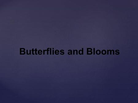 Butterflies and Blooms. egg caterpillar chrysalis.