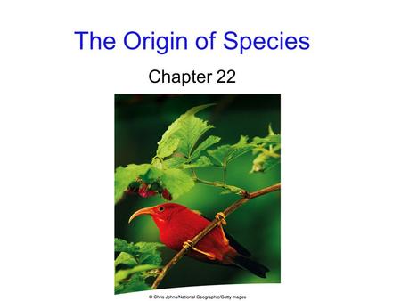 The Origin of Species Chapter 22.