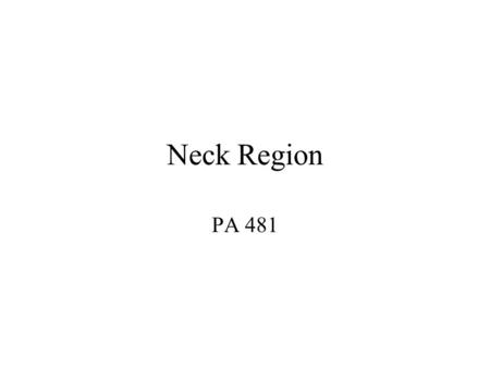 Neck Region PA 481.