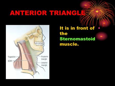 ANTERIOR TRIANGLE It is in front of the Sternomastoid muscle.