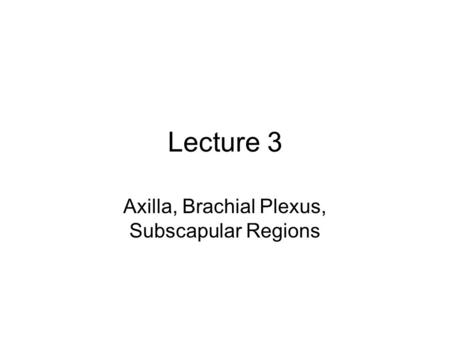 Axilla, Brachial Plexus, Subscapular Regions