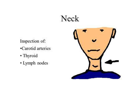 Neck Inspection of: Carotid arteries Thyroid Lymph nodes.
