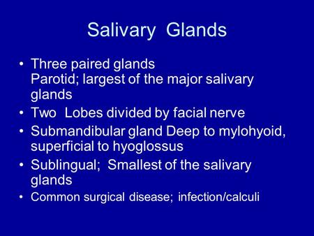 Salivary Glands Three paired glands Parotid; largest of the major salivary glands Two Lobes divided by facial nerve Submandibular gland Deep to mylohyoid,
