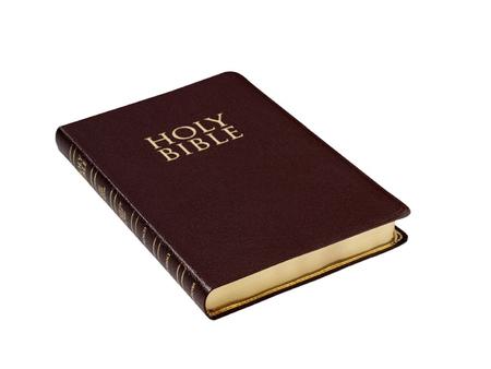 What is the book of BIBLE ?