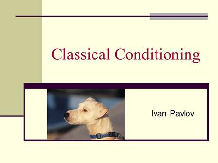 Classical Conditioning