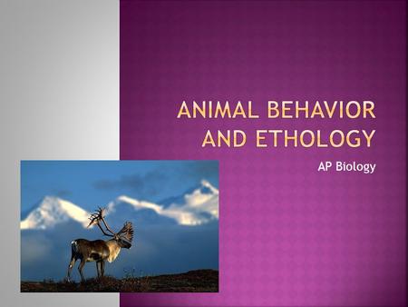 AP Biology.  Ethology is the study of animal behavior.