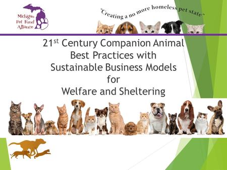 21 st Century Companion Animal Best Practices with Sustainable Business Models for Welfare and Sheltering.