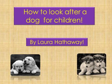 How to look after a dog for children! By Laura Hathaway!