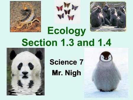 Ecology Section 1.3 and 1.4 Science 7 Mr. Nigh Science 7 Mr. Nigh.