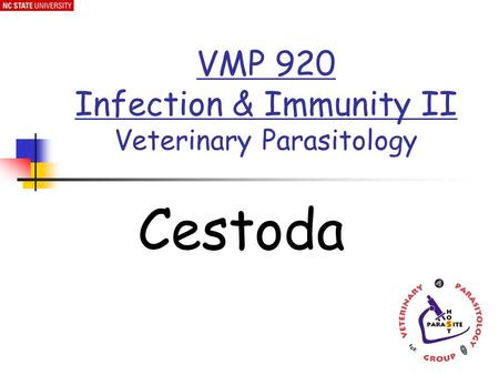 Cestoda VMP 920 Infection & Immunity II Veterinary Parasitology.