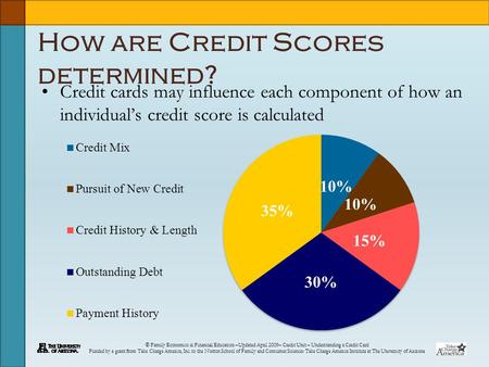 © Family Economics & Financial Education –Updated April 2009– Credit Unit – Understanding a Credit Card Funded by a grant from Take Charge America, Inc.