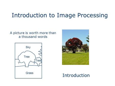 Introduction to Image Processing Grass Sky Tree ? ? Introduction A picture is worth more than a thousand words.