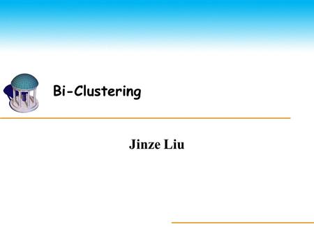 Bi-Clustering Jinze Liu. Outline The Curse of Dimensionality Co-Clustering  Partition-based hard clustering Subspace-Clustering  Pattern-based 2.
