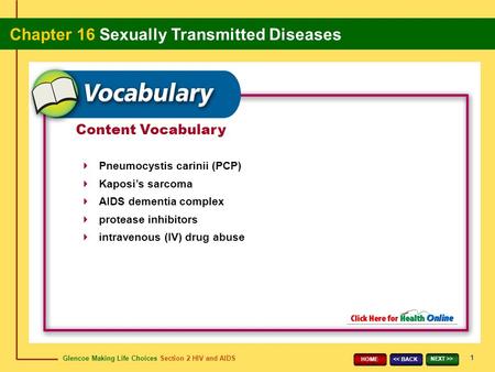 Glencoe Making Life Choices Section 2 HIV and AIDS Chapter 16 Sexually Transmitted Diseases 1 > HOME Content Vocabulary Pneumocystis carinii.