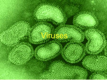 Viruses. Is a Virus a Living Organism? Chapter 1 – Properties of life –Cellular Respiration –Reproduction –Metabolism –Homeostasis –Heredity –Responsiveness.