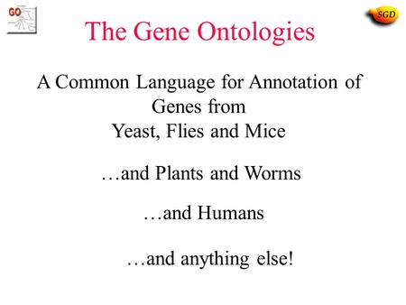 A Common Language for Annotation of Genes from Yeast, Flies and Mice The Gene Ontologies …and Plants and Worms …and Humans …and anything else!