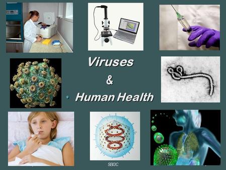 Viruses& Human Health ‏ Human Health ‏ June 23, 20091SBI3C.