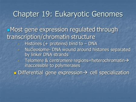 Chapter 19: Eukaryotic Genomes Most gene expression regulated through transcription/chromatin structure Most gene expression regulated through transcription/chromatin.
