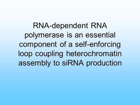 RNA-dependent RNA polymerase is an essential component of a self-enforcing loop coupling heterochromatin assembly to siRNA production.