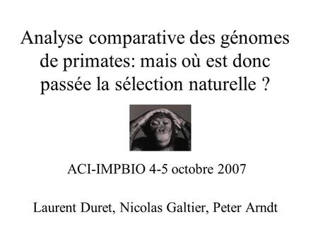 Analyse comparative des génomes de primates: mais où est donc passée la sélection naturelle ? Laurent Duret, Nicolas Galtier, Peter Arndt ACI-IMPBIO 4-5.