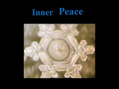 Jaimie miller Peace Inner.