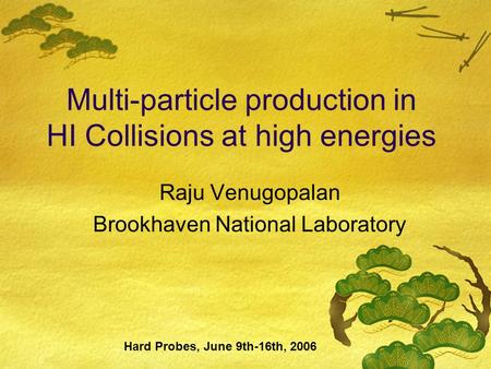 Multi-particle production in HI Collisions at high energies Raju Venugopalan Brookhaven National Laboratory Hard Probes, June 9th-16th, 2006.