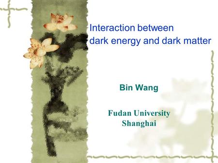 Bin Wang Fudan University Shanghai Interaction between dark energy and dark matter.