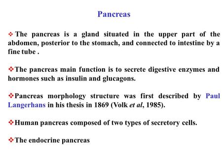 Pancreas The pancreas is a gland situated in the upper part of the abdomen, posterior to the stomach, and connected to intestine by a fine tube . The pancreas.