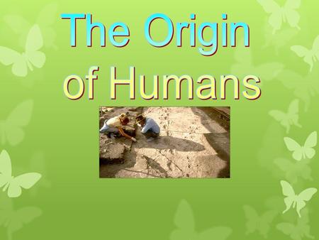 The Origin of Humans.