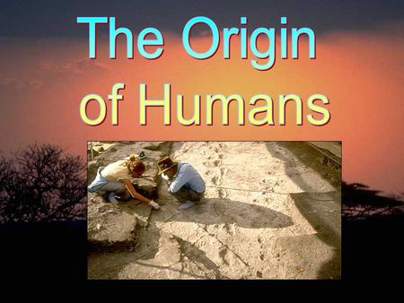 The Origin of Humans.