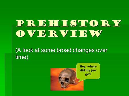 Prehistory Overview (A look at some broad changes over time) Hey, where did my jaw go?