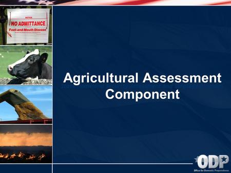 State Homeland Security Assessment and Strategy Program Agricultural Assessment Component.