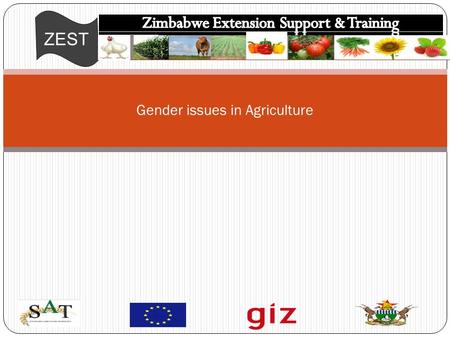 ZEST Gender issues in Agriculture. ZEST This is the state of being male or female (typically used with reference to social and cultural differences rather.