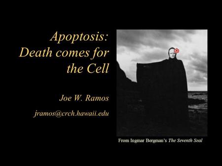 Apoptosis: Death comes for the Cell Joe W. Ramos hawaii