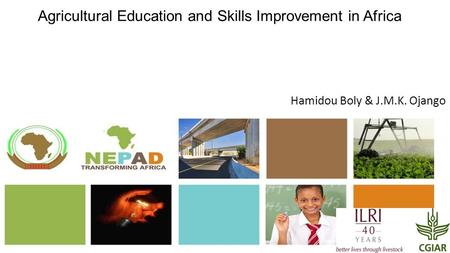 NPCA/CAADP Agricultural Education and Training Agricultural Education and Skills Improvement in Africa Hamidou Boly & J.M.K. Ojango.
