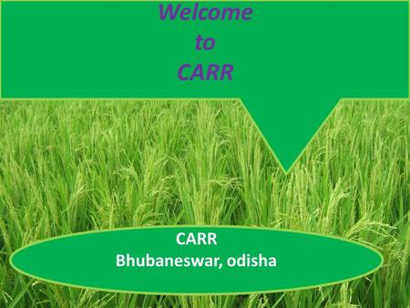 CARR Bhubaneswar, odisha Welcome to CARR CARR is a nonprofit making secular and Non-Government organization who works for the holistic upliftment of.