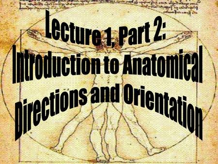 Introduction to Anatomical Directions and Orientation