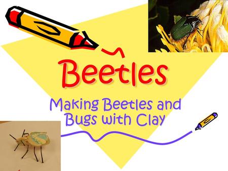BeetlesBeetles Making Beetles and Bugs with Clay.