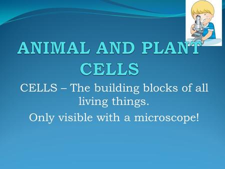 ANIMAL AND PLANT CELLS CELLS – The building blocks of all living things. Only visible with a microscope!