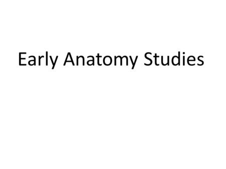 Early Anatomy Studies.