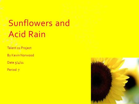 Sunflowers and Acid Rain Talent 21 Project By Kevin Norwood Date 5/4/11 Period 7.