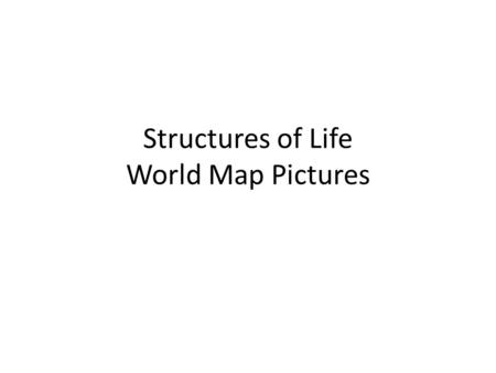 Structures of Life World Map Pictures. Koala~ Australia Red Back Spider~ Australia Epacris-Impressa~ Australia Eucalyptus~ Australia.