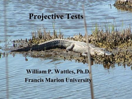 Projective Tests William P. Wattles, Ph.D. Francis Marion University.